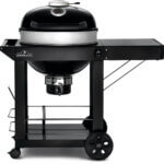 Holzkohle-PRO22K-CART-3-01 Holzkohle-PRO22K-CART-3-01
