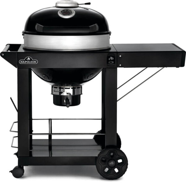 Holzkohle-PRO22K-CART-3-01 Holzkohle-PRO22K-CART-3-01