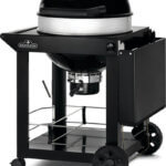 Holzkohle-PRO22K-CART-3-02 Holzkohle-PRO22K-CART-3-02