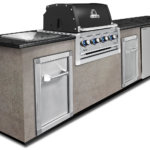 Broil King REGAL 420 Built in 06