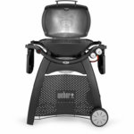 weber-gasgrill-q-3200(3)