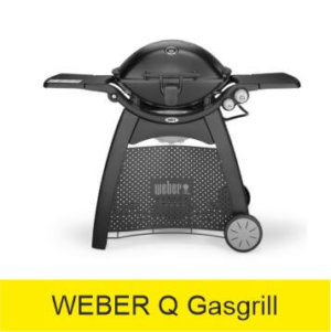 WEBER-Q