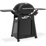 weber_q3800n_rollwagen_2 weber_q3800n_rollwagen_2