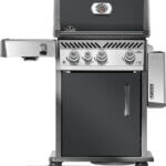 NAP-RP425SIBPCH-2_03-DE